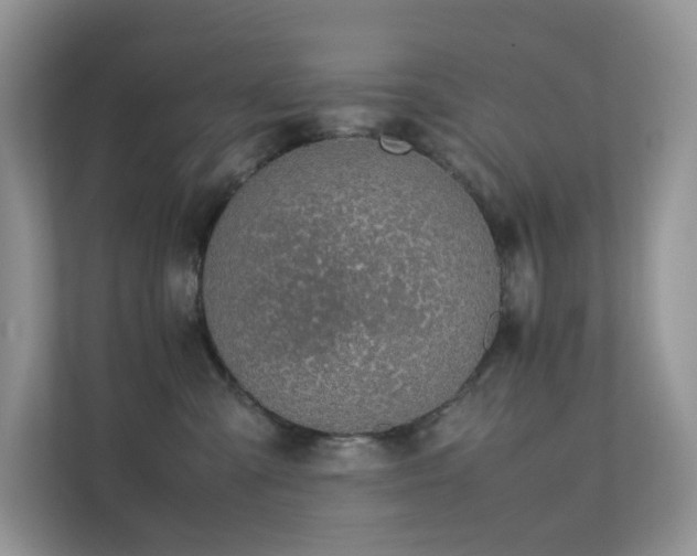 X0000112170427200908071202