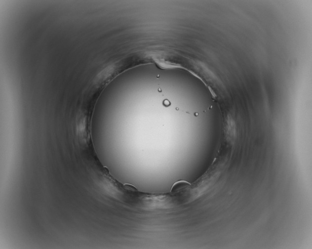 X0000112170428200908071202