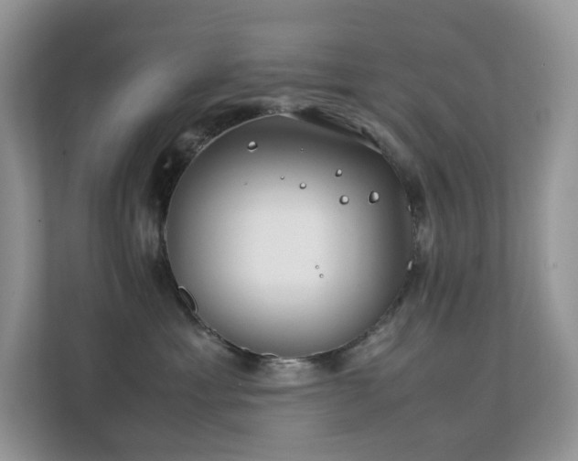 X0000112170429200908071202