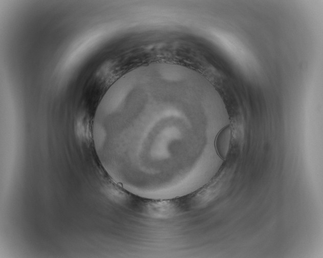 X0000112170431200908071202