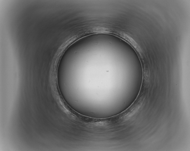 X0000112170433200908071201