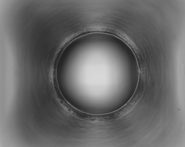 X0000112170434200908071201