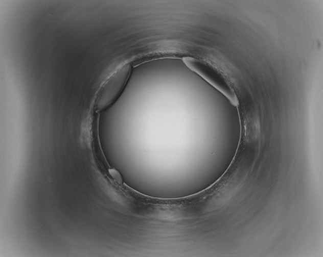 X0000112170436200908071201