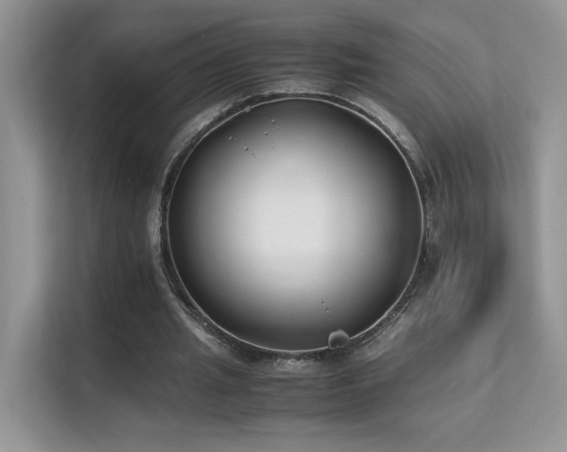 X0000112170437200908071201