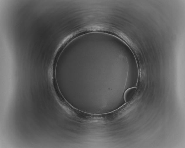 X0000112170438200908071201