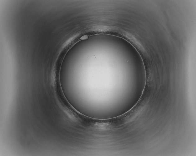 X0000112170440200908071201