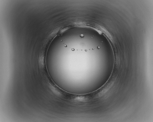 X0000112170441200908071201