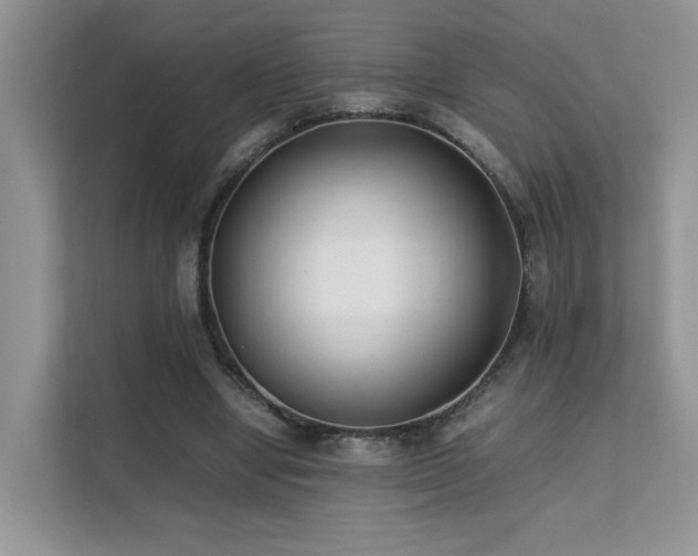 X0000112170442200908071201