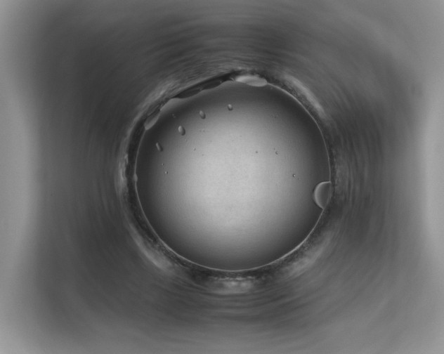 X0000112170443200908071201