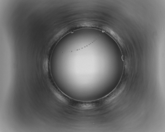 X0000112170445200908071201