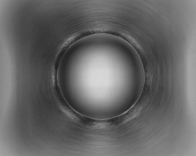 X0000112170446200908071201