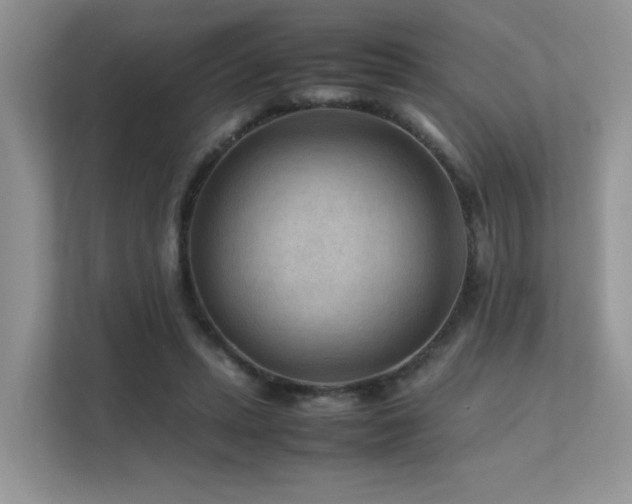 X0000112170447200908071201