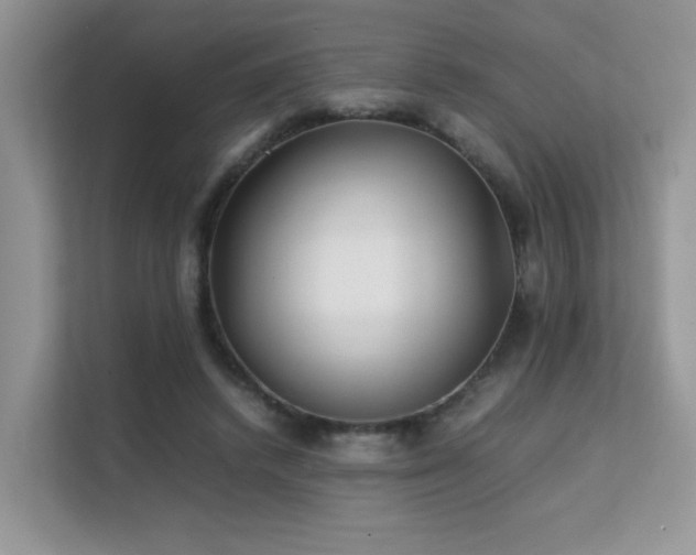 X0000112170448200908071201