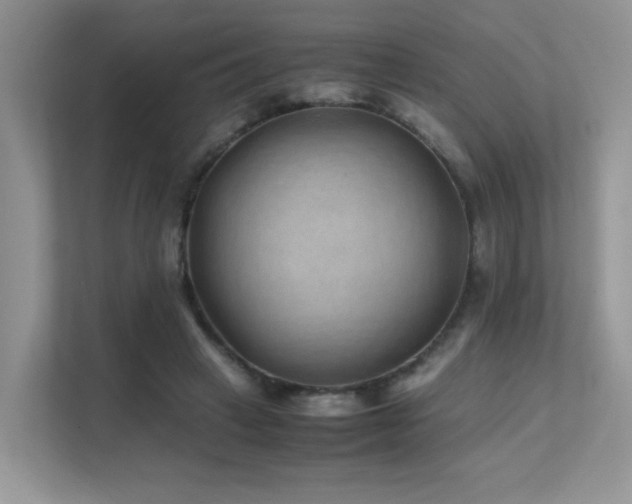 X0000112170449200908071201