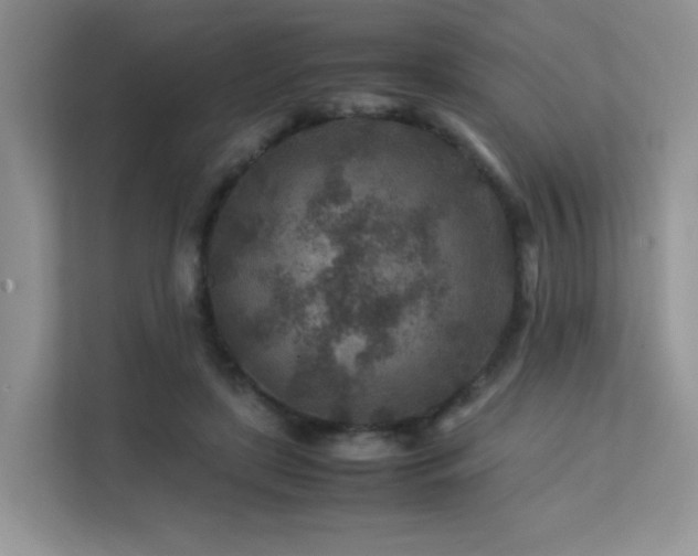 X0000112170451200908071202