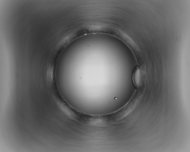 X0000112170454200908071202