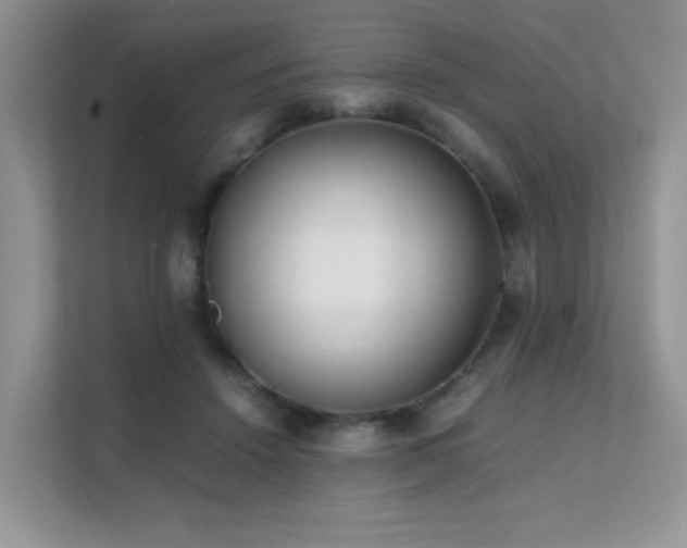 X0000112170456200908071202