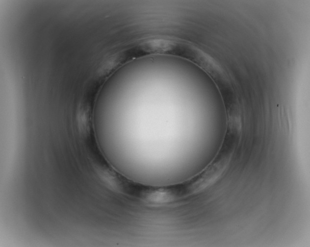 X0000112170460200908071202