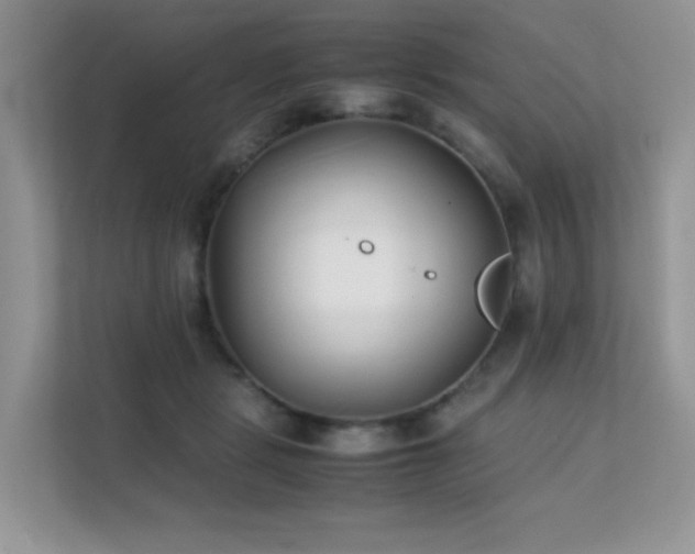 X0000112170461200908071202