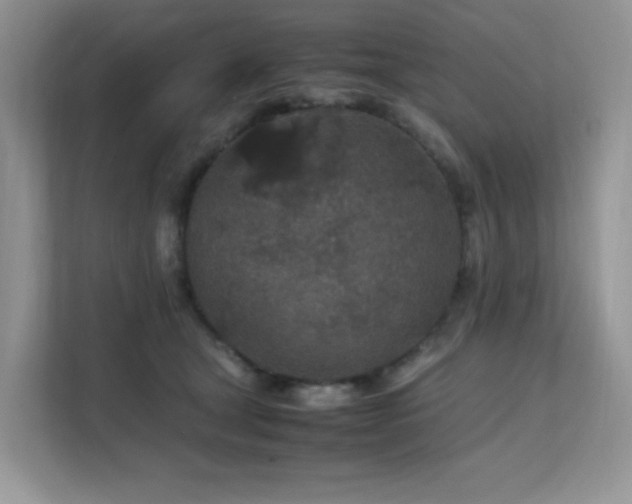 X0000112170465200908071202