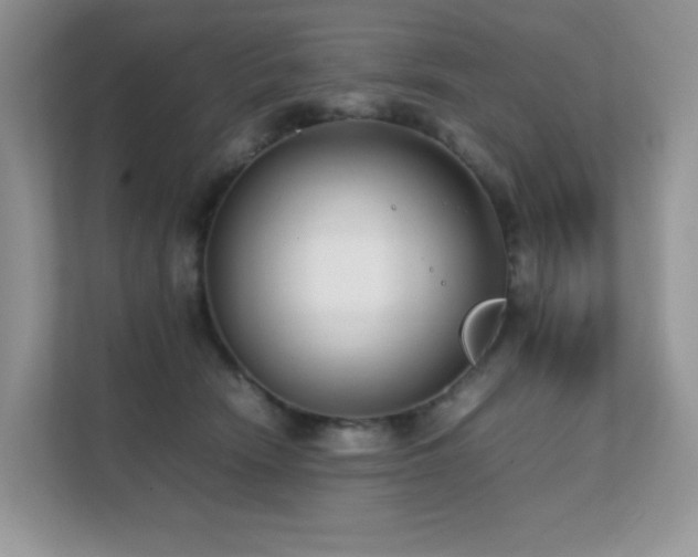 X0000112170466200908071202