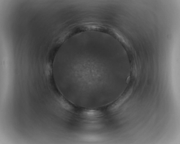 X0000112170467200908071202