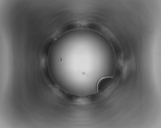 X0000112170468200908071202