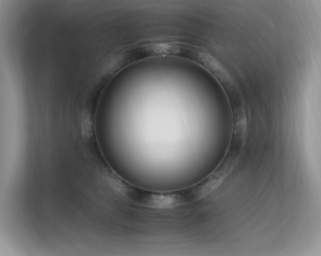 X0000112170469200908071202