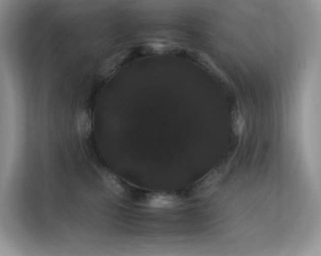 X0000112170471200908071202