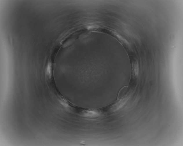 X0000112170475200908071202