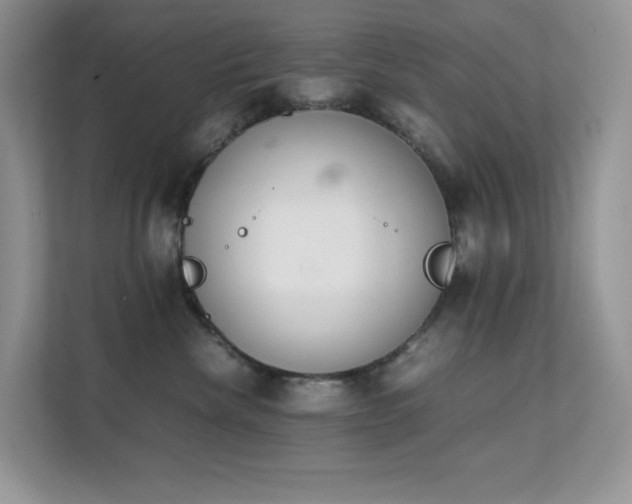 X0000112170476200908071202