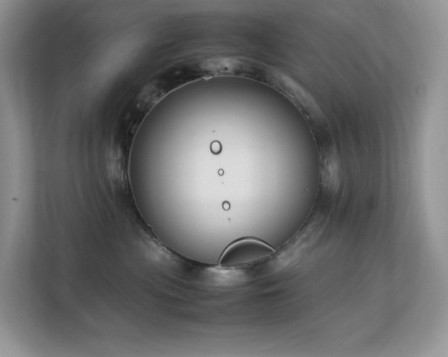 X0000112170477200908071202