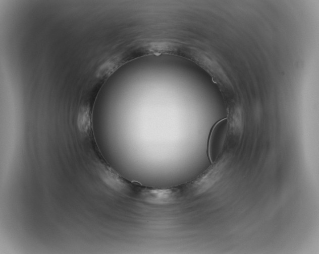 X0000112170478200908071202