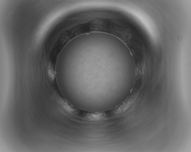 X0000112170479200908071202