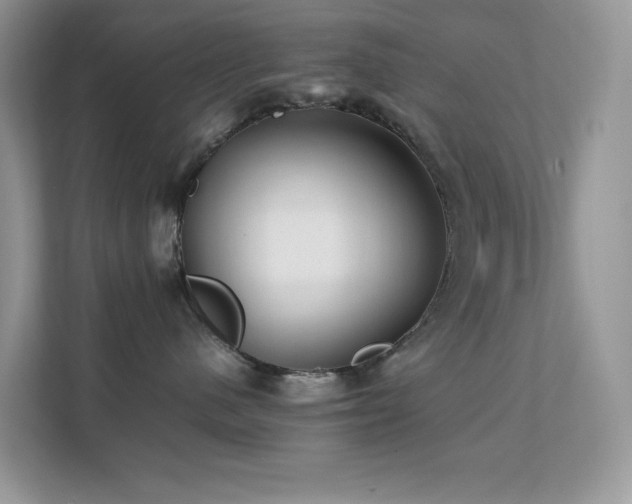 X0000112170480200908071202