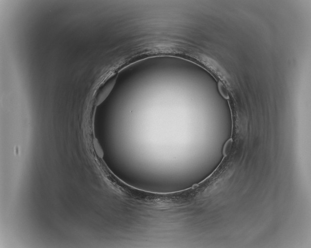 X0000112170481200908071201