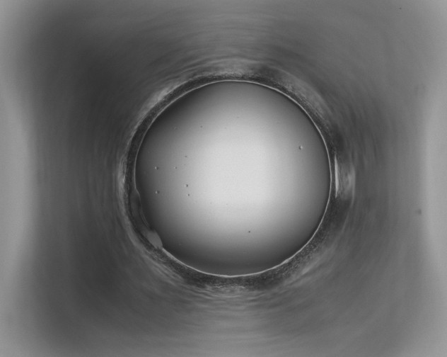 X0000112170483200908071201