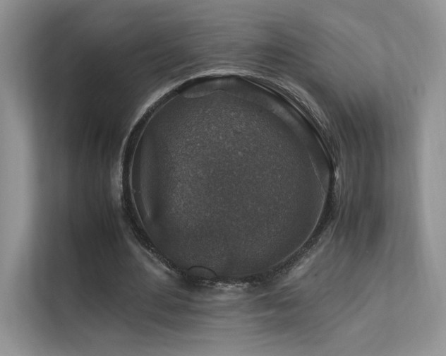 X0000112170484200908071201