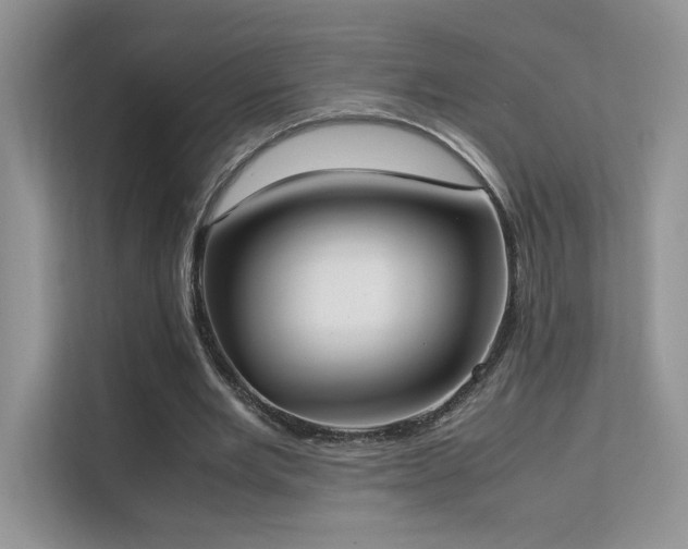 X0000112170485200908071201