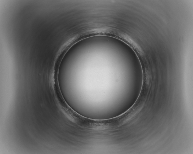 X0000112170486200908071201