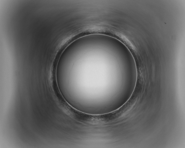 X0000112170487200908071201