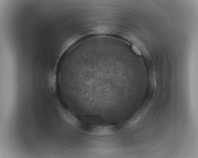 X0000112170488200908071201