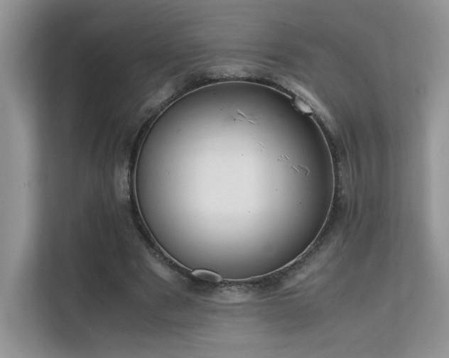 X0000112170489200908071201