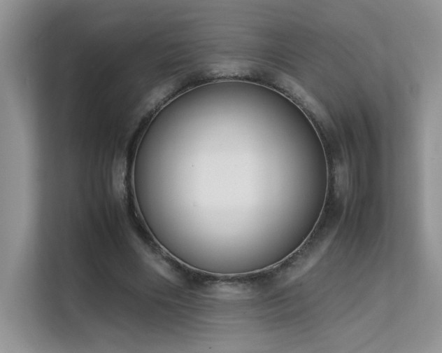 X0000112170490200908071201