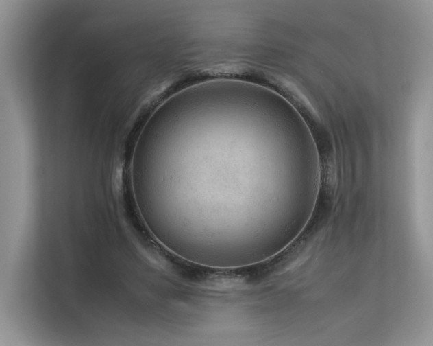 X0000112170491200908071201