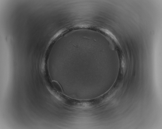 X0000112170492200908071201