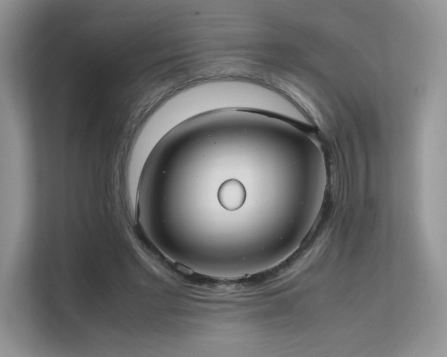 X0000112170493200908071201