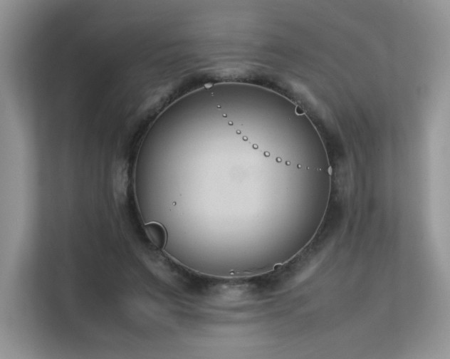 X0000112170495200908071201