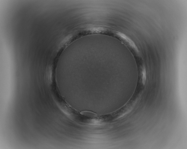 X0000112170496200908071201