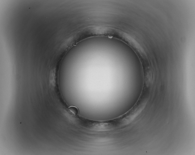 X0000112170497200908071201